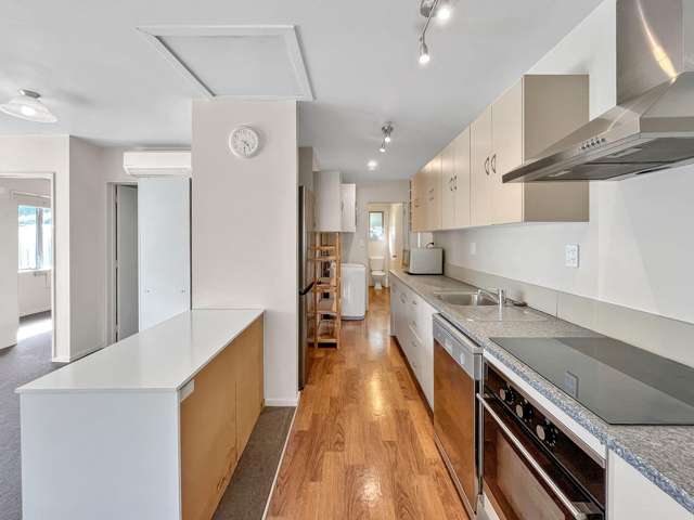 86a Creyke Road Ilam_2