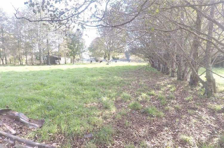 7a Allen Road Ohangai_20