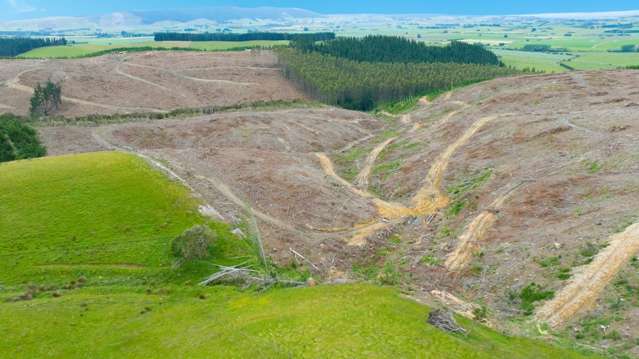 Fletcher Road, Table Hill Milton_2