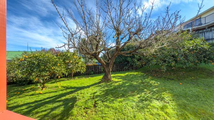 306 Marshall Crescent Thames_19