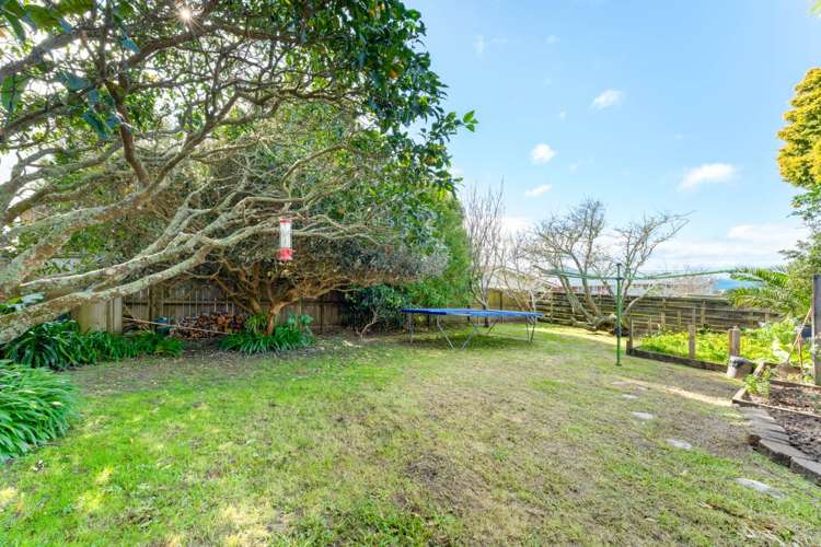 9 Agathis Avenue Mairangi Bay_29