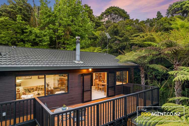 419 Huia Road_0