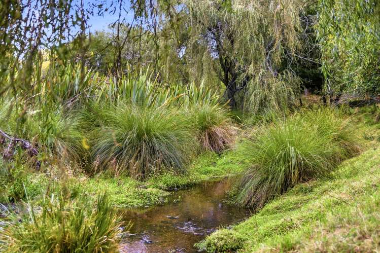 164 Oruanui Road Wairakei_33