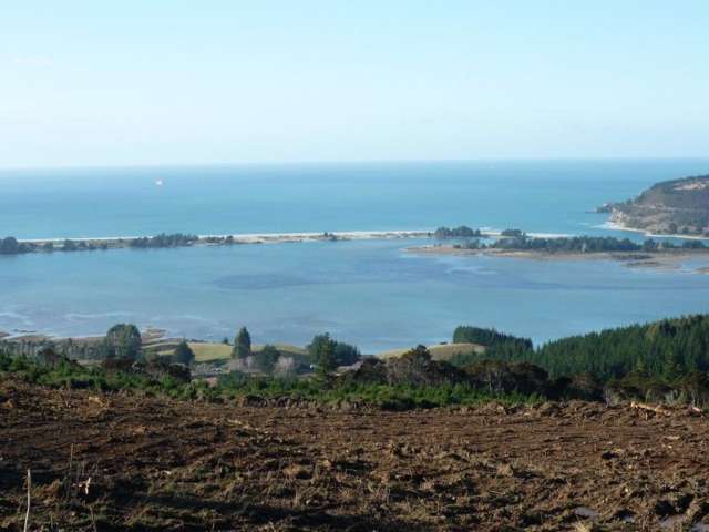 113 Wright Road Evansdale_3