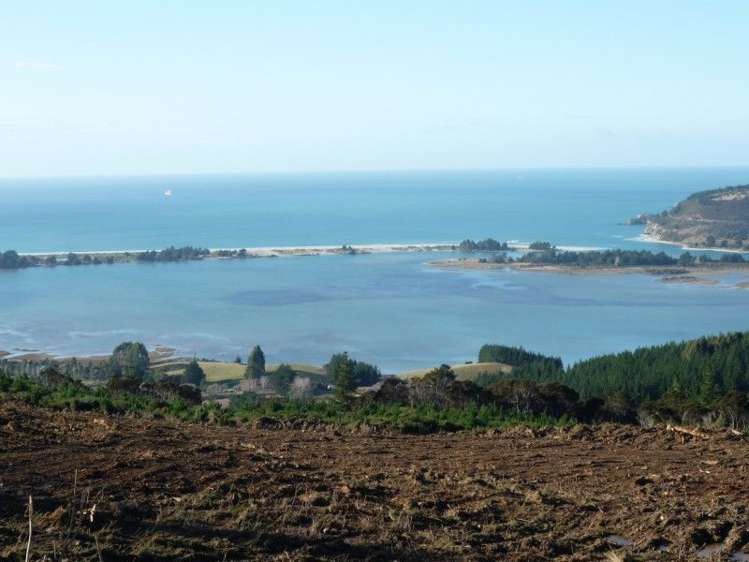 113 Wright Road Evansdale_3