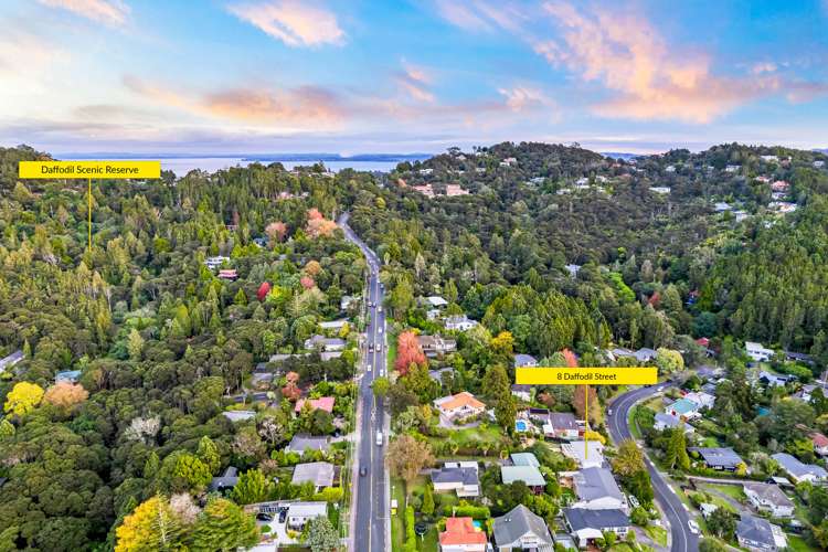 8 Daffodil Street Titirangi_34