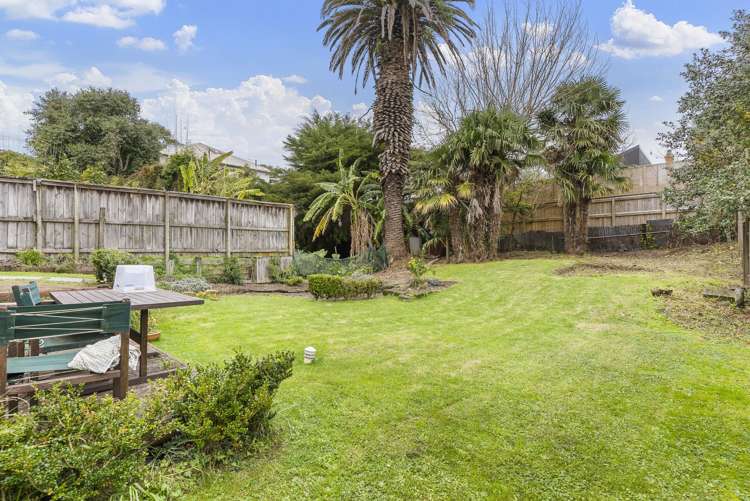 26 Elgin Street Grey Lynn_13