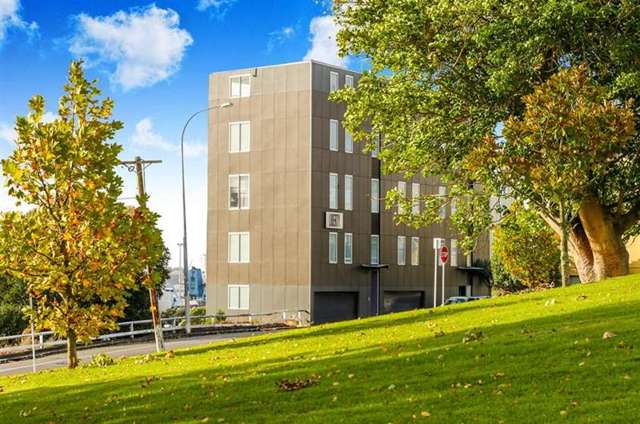 2 Augustus Terrace Parnell_1