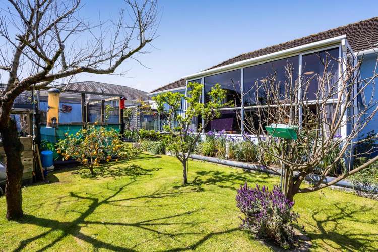 80 Fulford Street New Plymouth Central_4