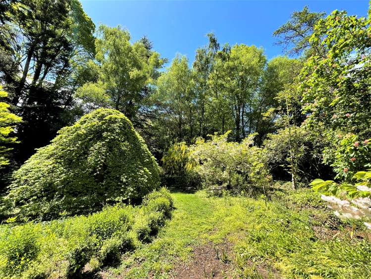 1097 Milton Highway Milton_21