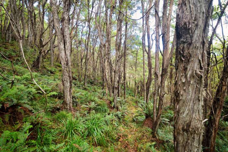 Lot 3/DP403510 Puhi Puhi Valley Road Kaikoura_27