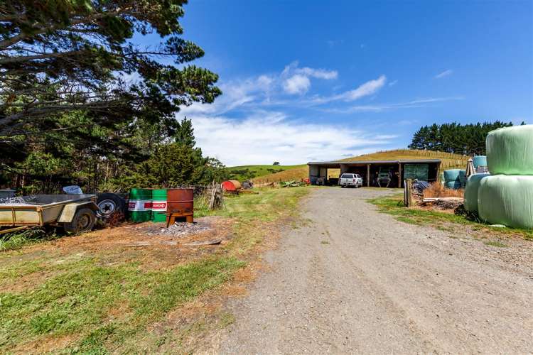 1335 Kahikatea Flat Road Kaukapakapa_23