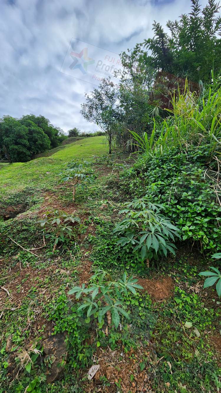 Address withheld Sigatoka_19