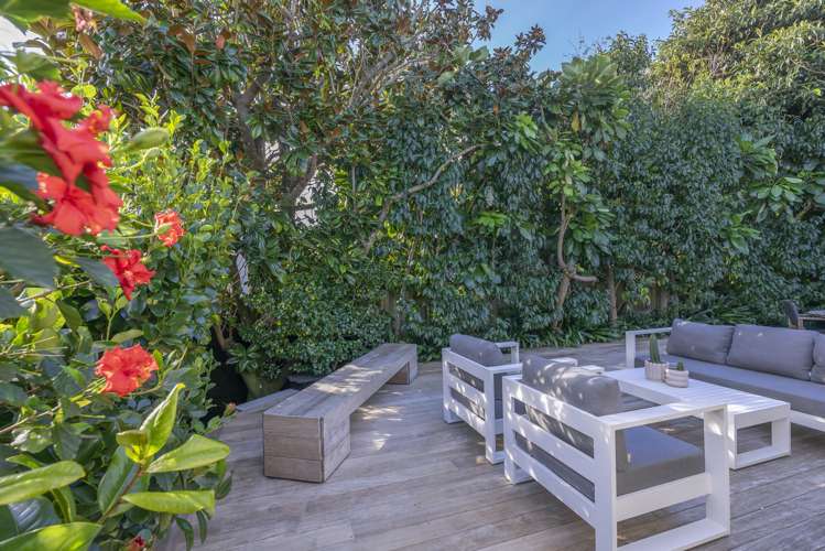 50 Milton Road Mount Eden_11