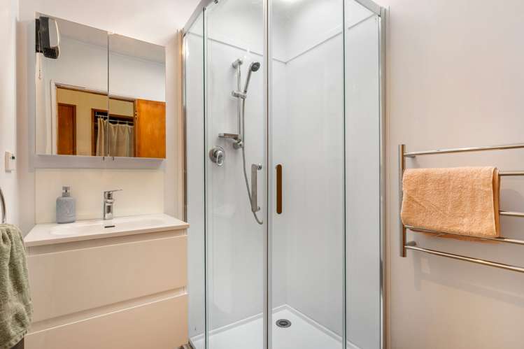 29 Havelock Street Renwick_11