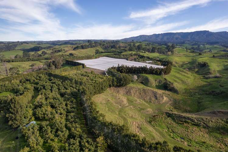 231 Walford Road Aongatete_0