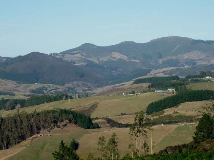 113 Wright Road Evansdale_6