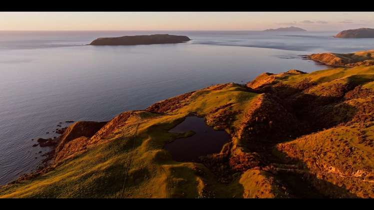 Pikarere Farm Porirua_16