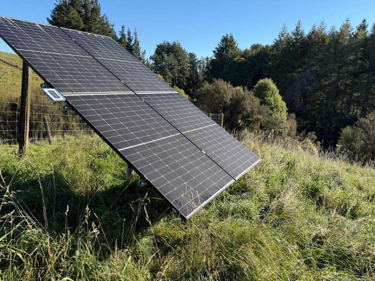 196 Ngapaeruru Rd Dannevirke_12