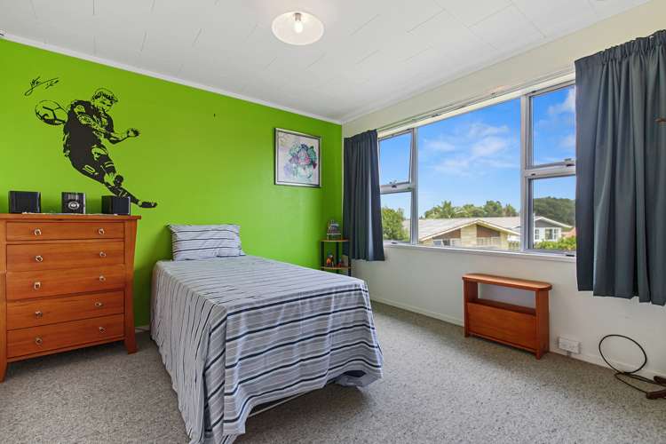 43 Clarke Avenue Te Aroha_11