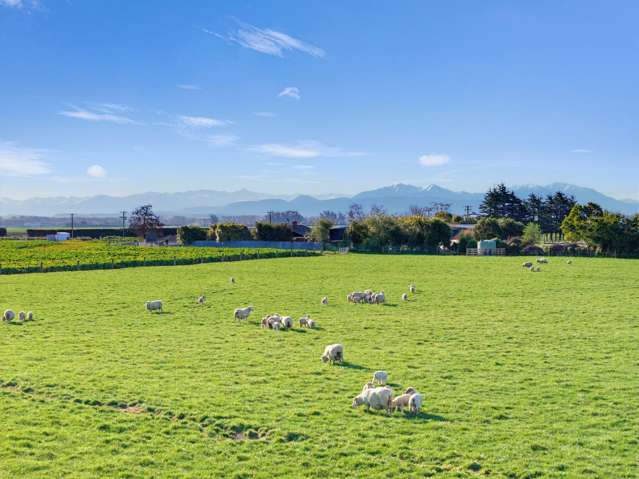 21 Dominion Road Timaru_4