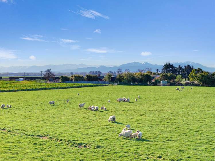 21 Dominion Road Timaru_4