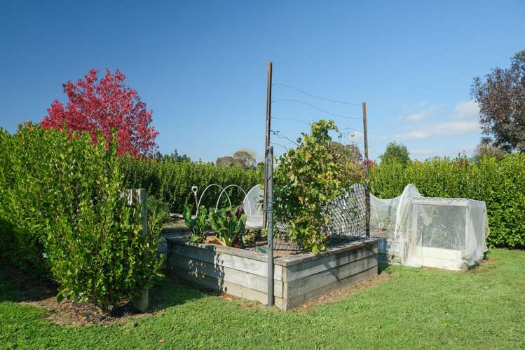 46 Dalbeth Road Hamurana_32
