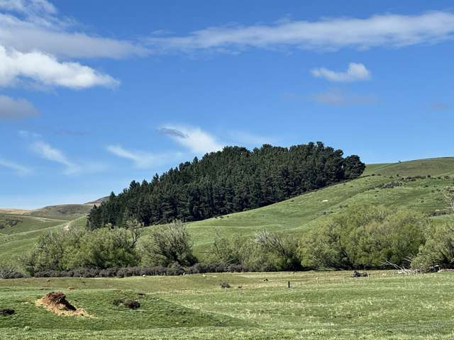 Prestons Road Kyeburn_3