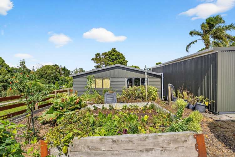 167 Wymer Road Glenbrook_27