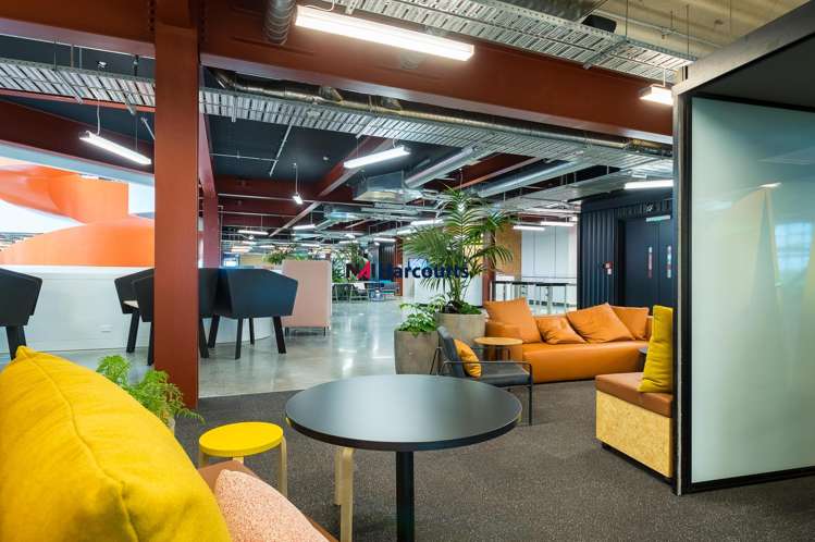 B:Hive/74 Taharoto Road Takapuna_6