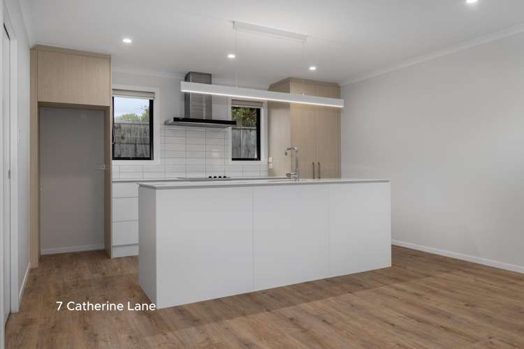 5 & 7 Catherine Lane Levin_2