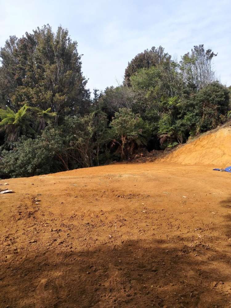 Harrington Mill Road Catlins Surrounds_6