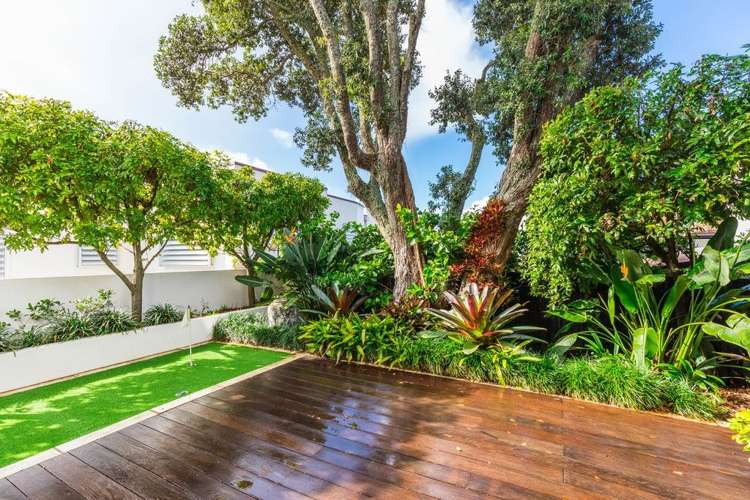 17a Elam Street Parnell_13