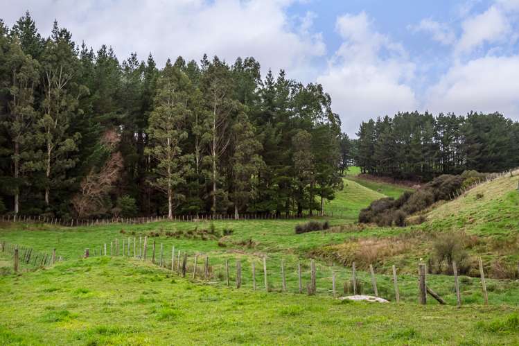 4 Quarry Road Eketahuna_8