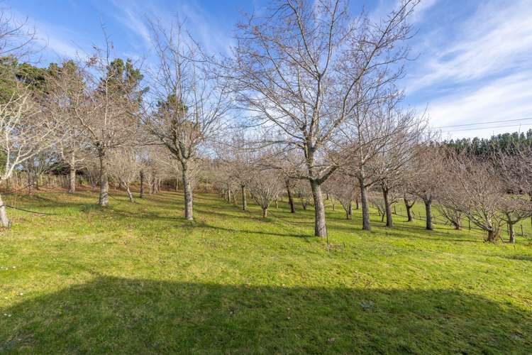 9 Kaiwhata Road Te Wharau_17