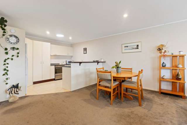 29 Ksenia Drive Flat Bush_3