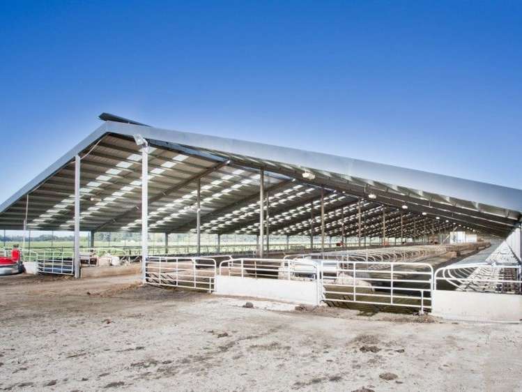 3 Limehills Browns Road Winton Surrounds_2