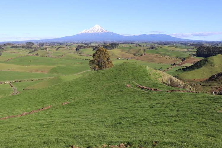 892 Tarata Road Kaimata_17