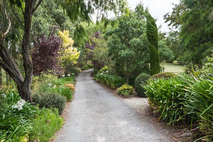 176 Balcairn Amberley Road Balcairn_18