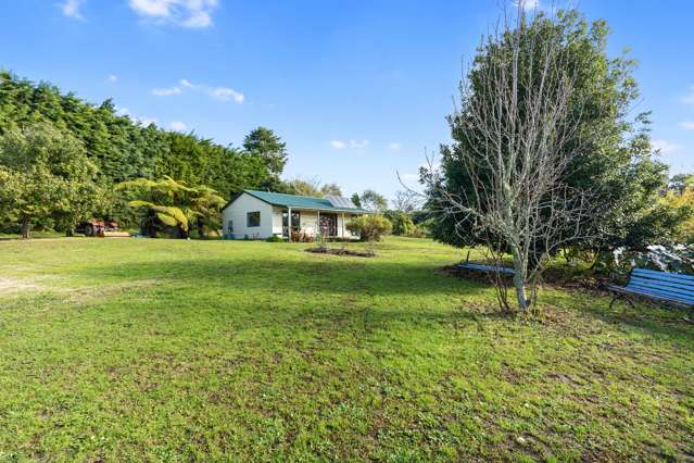 577b No 3 Road Te Puke_3