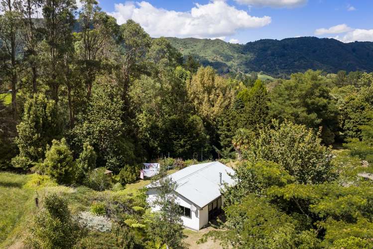 49 Mangotahi Road Thames_15