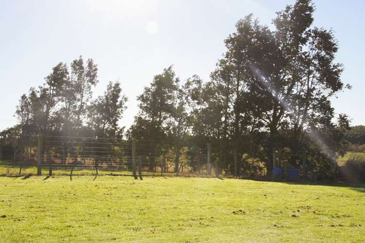 228e Roslyn Road Roslyn Bush_23