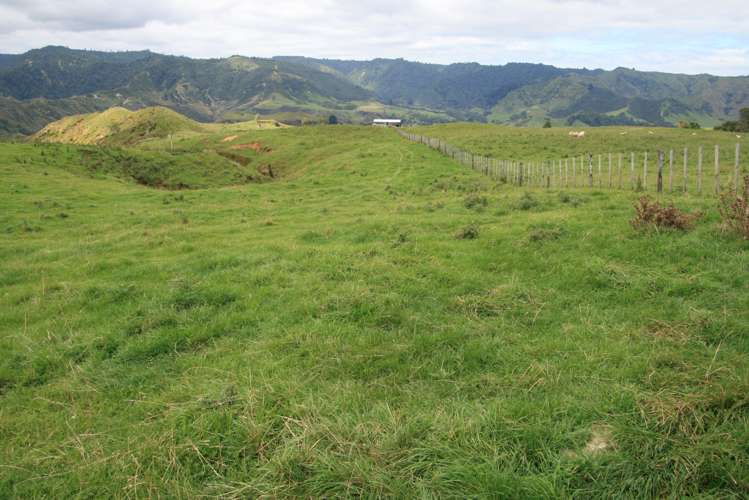 1110 Mangaehu Road Pohokura and Surrounds_0