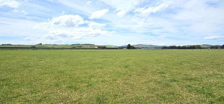 391A Otama Road Otama_15