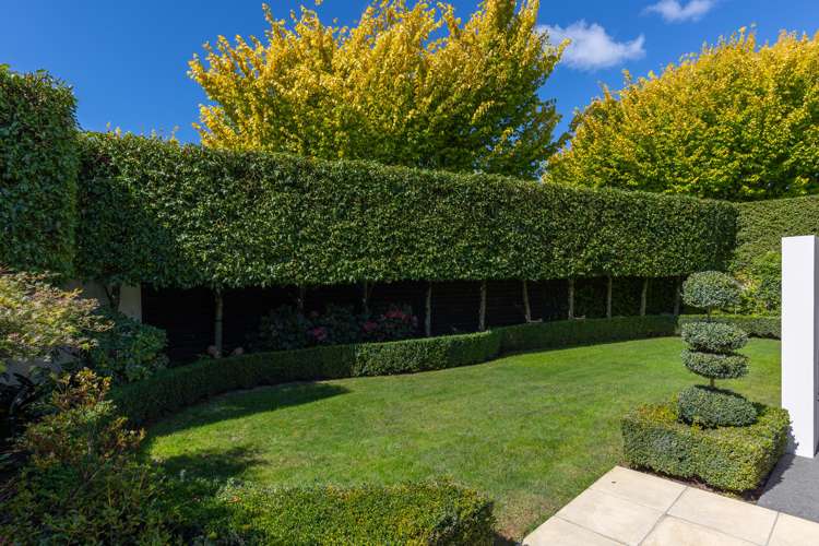 8 Covent Gardens Springlands_32