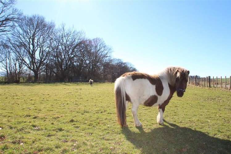 23 Kelso Road Gore Surrounds_21