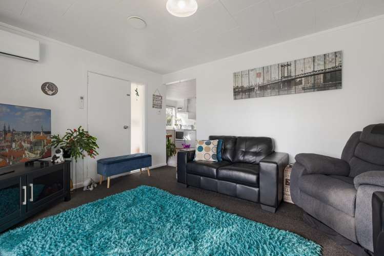 12 Greerton Road Gate Pa_5