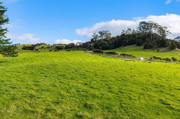 1188E Tinopai Road Tinopai_14