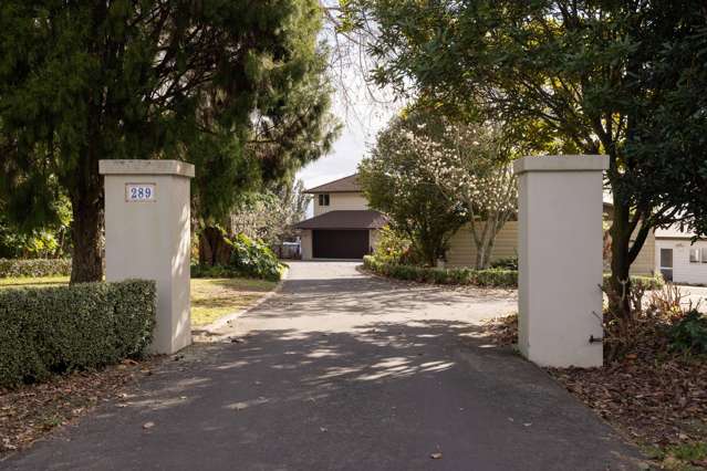 289 Pahoia Road Whakamarama_4