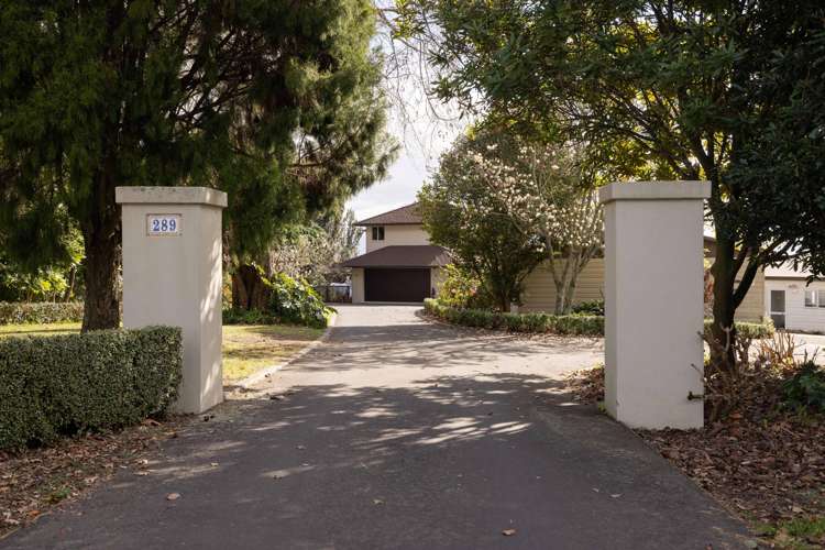 289 Pahoia Road Whakamarama_3